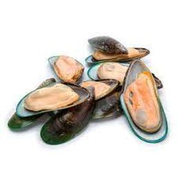 Mussels, New Zealand Frozen